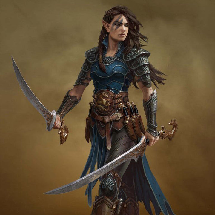 High Elf Fighter - Fișe de caractere