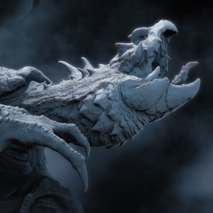 ShellBack Ritual, Poveste D&D