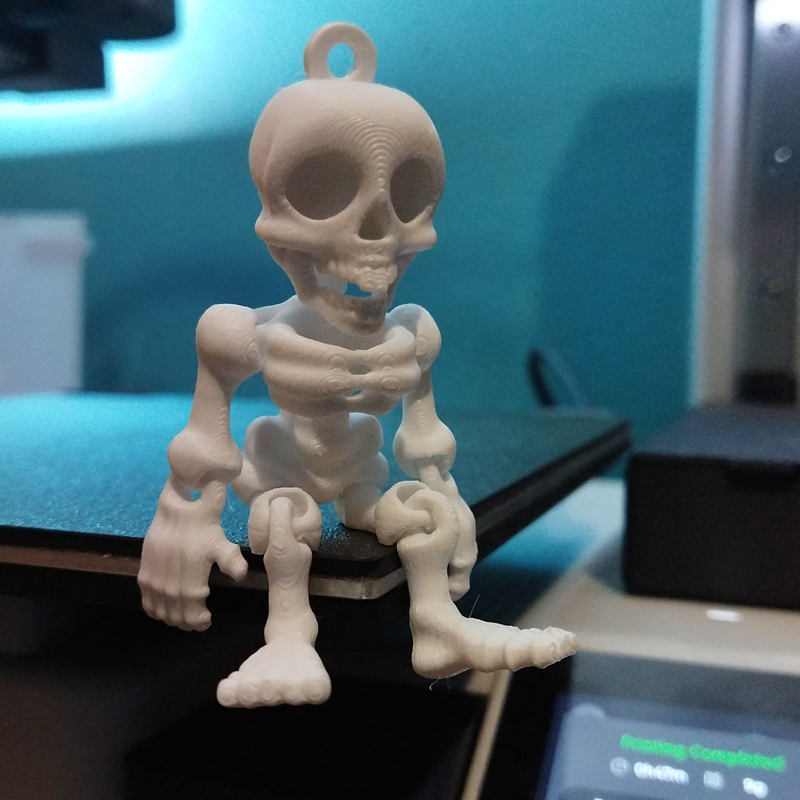 Morty the Skelly, Breloc Articulat