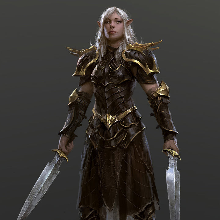 High Elf Fighter - Fișe de caractere
