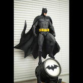 Batman, DC Comics, Figurine
