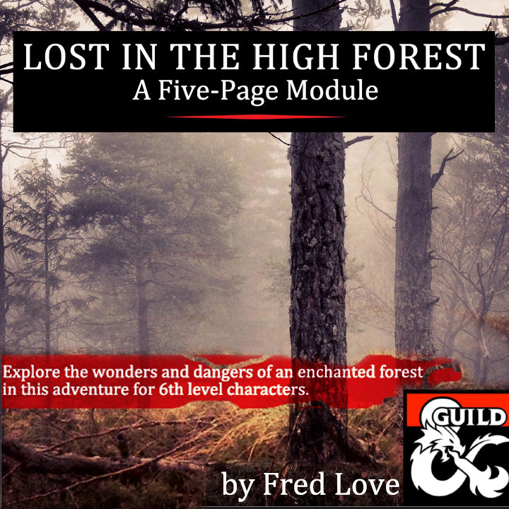 Lost in the High Forest, Aventura D&D