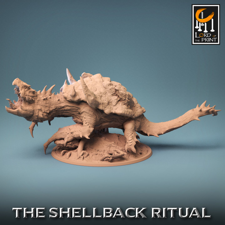 ShellBack Dragon Turtle Roar
