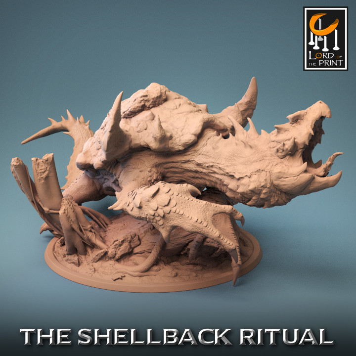 ShellBack Dragon Turtle Roar