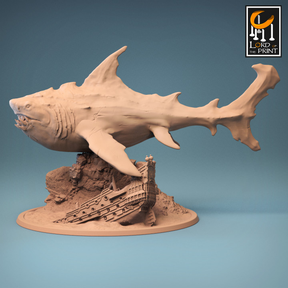 Megalodon Shark