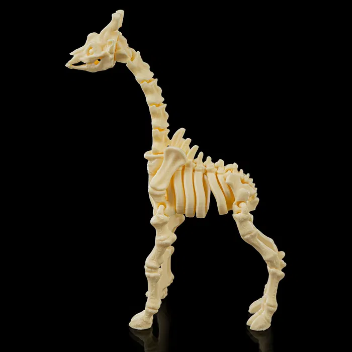 Skeleton Flexible Giraffe