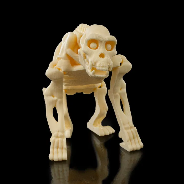 Skeletal Flexible Chimp