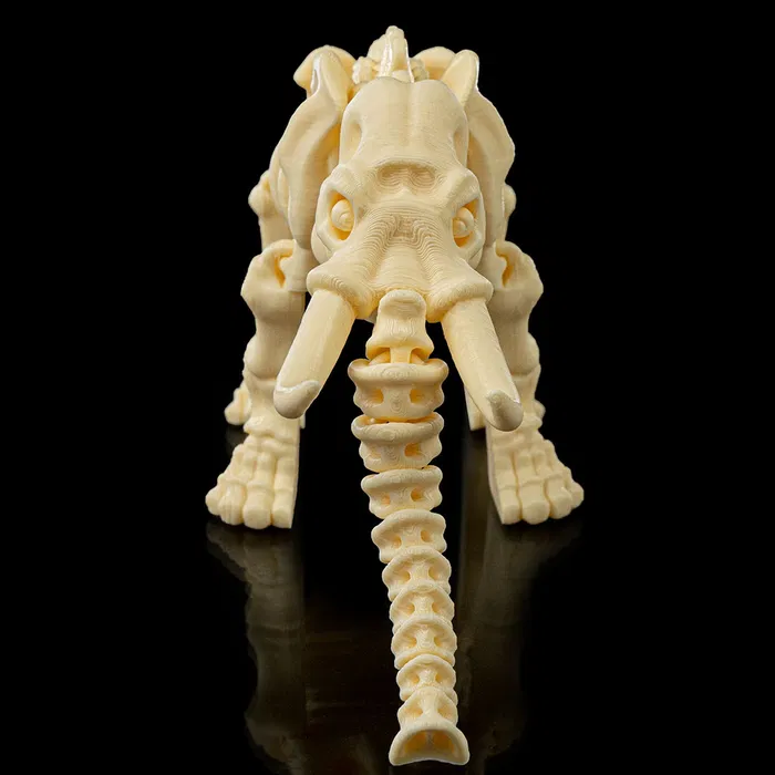 Skeletal Flexible Elephant