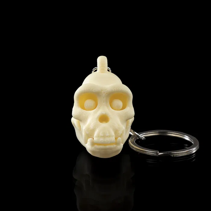 Skeletal Safari Keychains