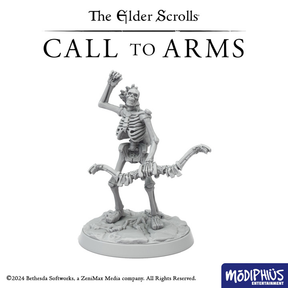 The Elder Scrolls: Call to Arms, Set de miniaturi pentru explorarea Peșterii Bleak Falls
