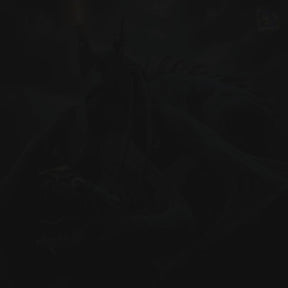 Witch-King & Nazgûl Diorama - LOTR